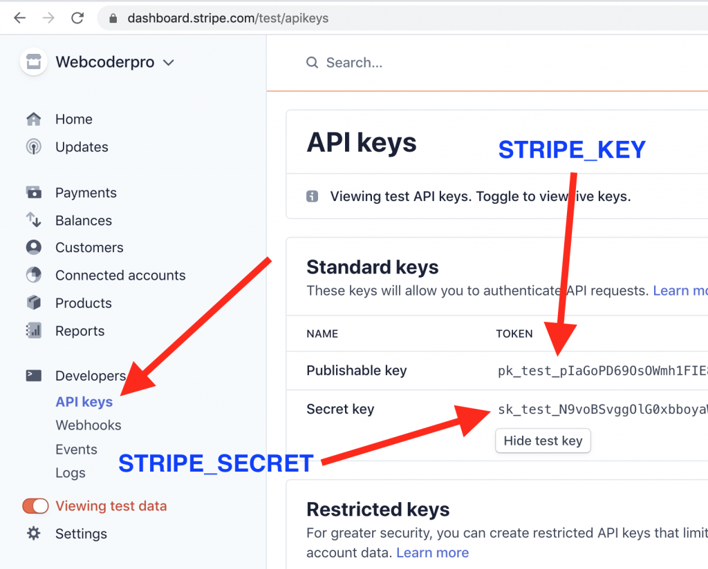 how-to-add-stripe-one-time-payment-form-to-laravel-project-quick